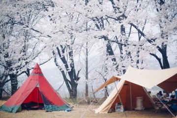 人生榜首帐究竟怎样选